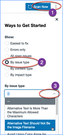 An image showing the "by issue type" option selected in the "Ways to Get Started" menu.